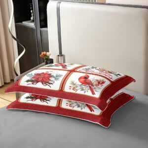 Exotic Birds 100% Nature Cotton Duvet Cover Queen,Merry Christmas Trees Flower Red Birds Super Soft Bedding Set,Rustic Farmhouse Geometry Patchwork Comforter Cover Bedding 3 Piece (No Comforter)