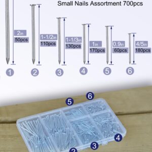 Eujqo Nails for Hanging Pictures Small Nails Picture Hanging Nails 700Pcs Finishing Nails Hardware Nails for Wall Wood Nails