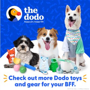 The Dodo All Nylon Yellow Collar and Leash Set - Medium; Matching Cute Leash and Collar Set; Waterproof Dog Leash and Collar Set, Perfect for Beach Day or Trips to The Lake