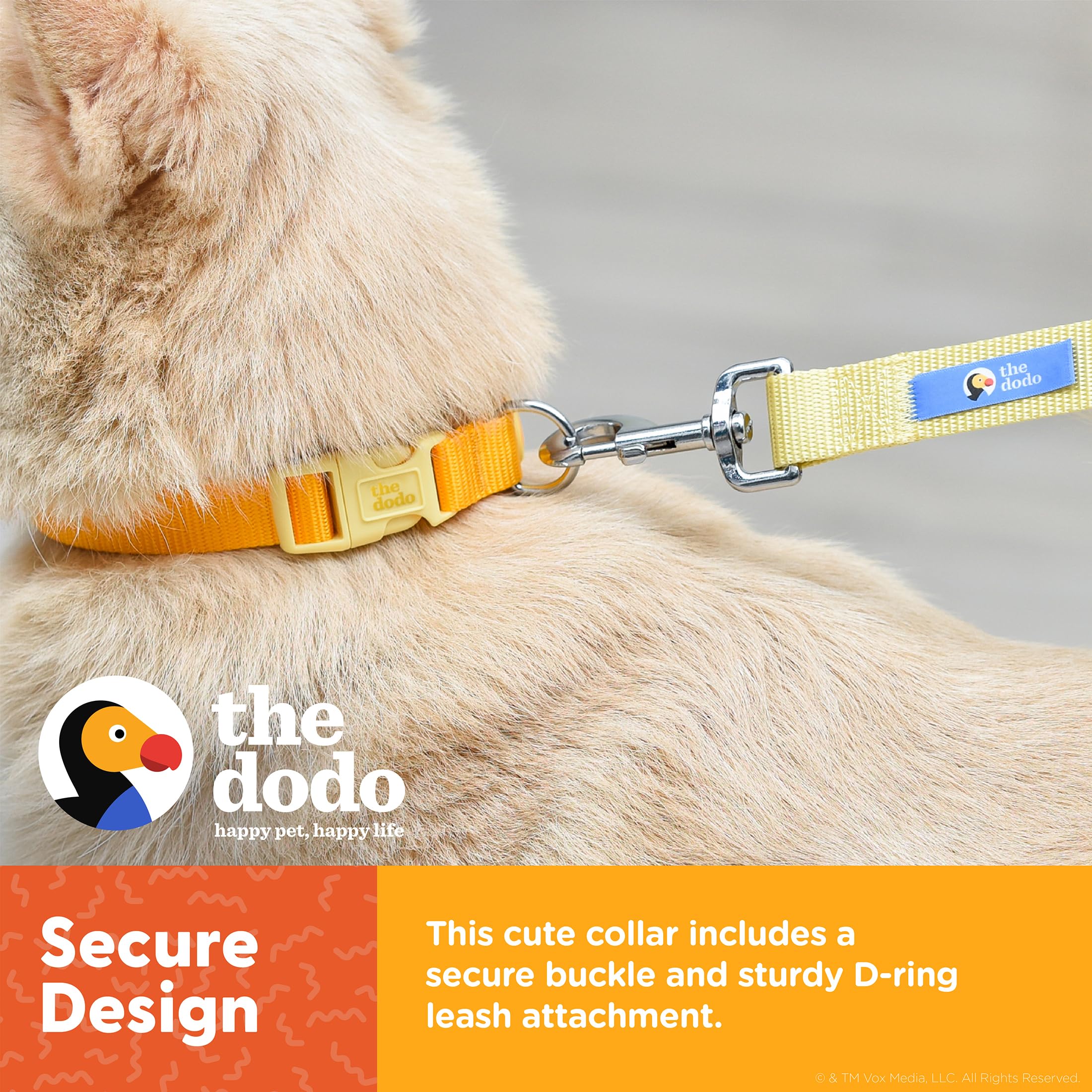 The Dodo All Nylon Yellow Collar and Leash Set - Medium; Matching Cute Leash and Collar Set; Waterproof Dog Leash and Collar Set, Perfect for Beach Day or Trips to The Lake