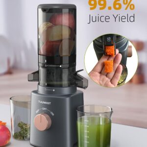 Juicer Machines, TUUMIIST Cold Press Juicer with 4.25'' Large Feed Chute Fit Whole Vegetable And Fruit, Masticating Juicer Easy To Clean, Gun Grey