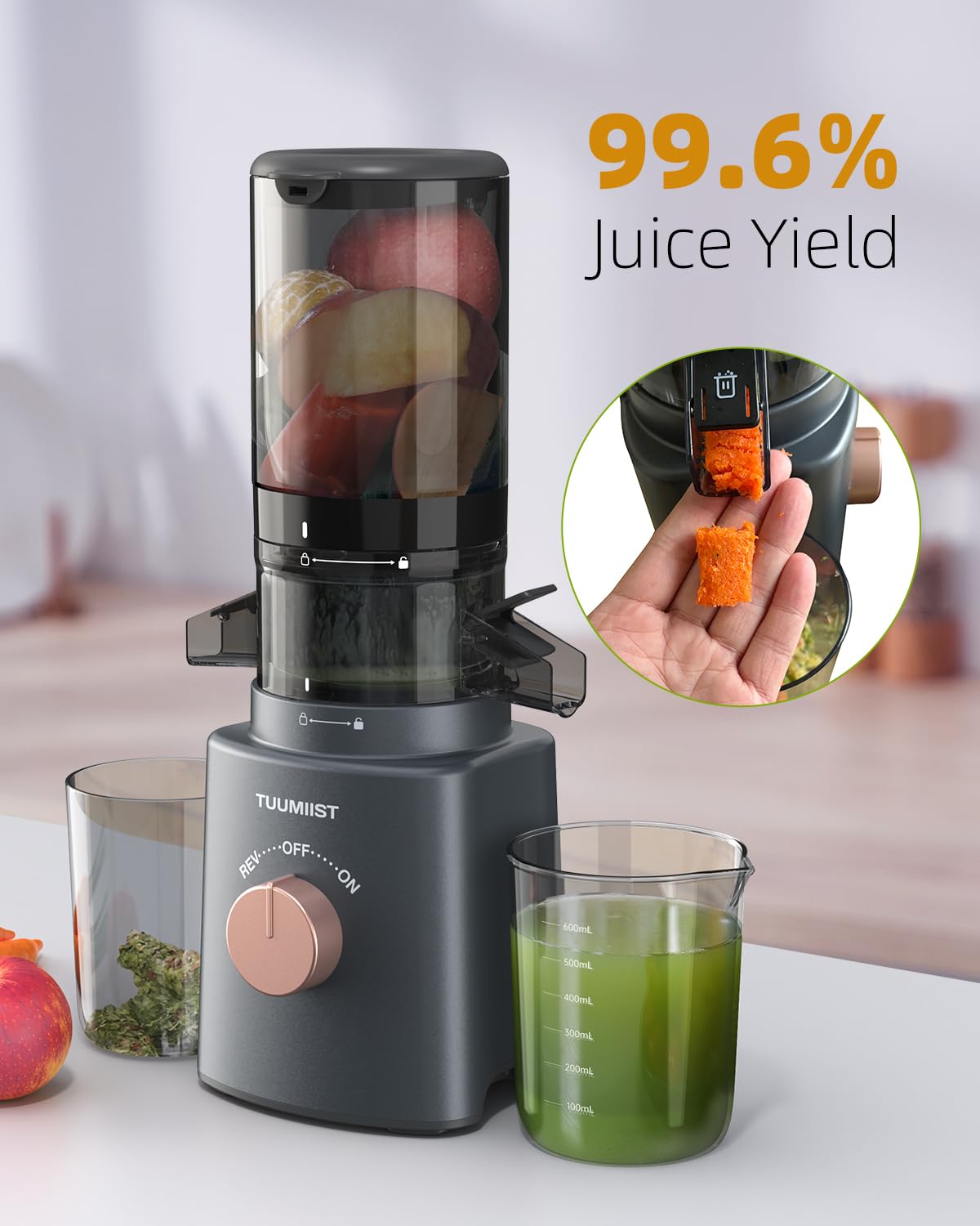 Juicer Machines, TUUMIIST Cold Press Juicer with 4.25'' Large Feed Chute Fit Whole Vegetable And Fruit, Masticating Juicer Easy To Clean, Gun Grey