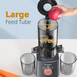 Juicer Machines, TUUMIIST Cold Press Juicer with 4.25'' Large Feed Chute Fit Whole Vegetable And Fruit, Masticating Juicer Easy To Clean, Gun Grey