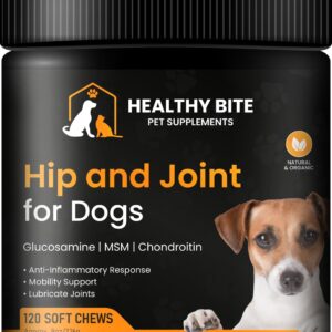 Healthy Bite Hip and Joint Supplement for Dogs - Glucosamine Chondroitin for Dogs Senior Dog Supplements - MSM, Turmeric Mobility Support, Dog Arthritis Pain Relief - Made in USA - 120 Count