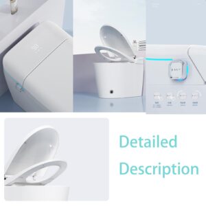 RIDFY Modern Smart Bidet Toilet with Tank Built In,Auto open/close,Heated Seat,Warm Water,Auto Flush,Nightlight,Remote Control, White (white)