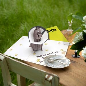 mmuue Funny Pop Up Get Well Soon Card, Humorous 3D Speedy Surgery Recovery Card for Friends Patient, Lovely Sympathy Cards for Men Women, At Least You Don't Have to Wear A Cone, Pug Cone Card