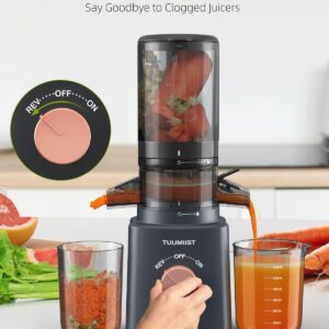 Juicer Machines, TUUMIIST Cold Press Juicer with 4.25'' Large Feed Chute Fit Whole Vegetable And Fruit, Masticating Juicer Easy To Clean, Gun Grey