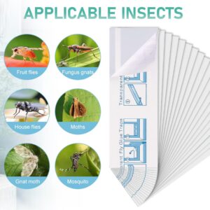 Cleanuper 60 Pcs Window Fly Traps for Indoor/Outdoor, Insect, Bugs, Fly & Fruit Fly Glue Sticky Adhesive Insect Killer - Easy to Use, Waterproof, Disposable, Non-Toxic, and Odorless, Economic Pack