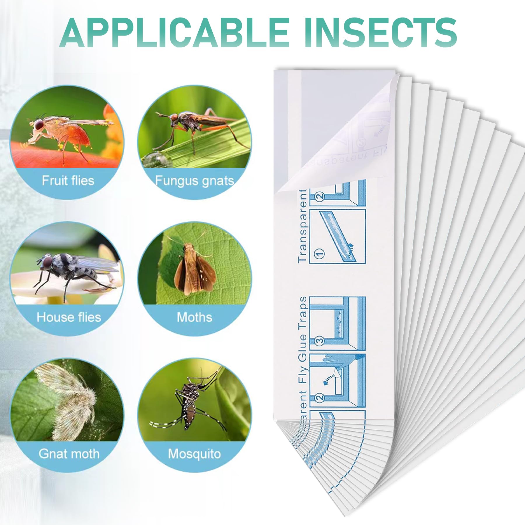 Cleanuper 60 Pcs Window Fly Traps for Indoor/Outdoor, Insect, Bugs, Fly & Fruit Fly Glue Sticky Adhesive Insect Killer - Easy to Use, Waterproof, Disposable, Non-Toxic, and Odorless, Economic Pack