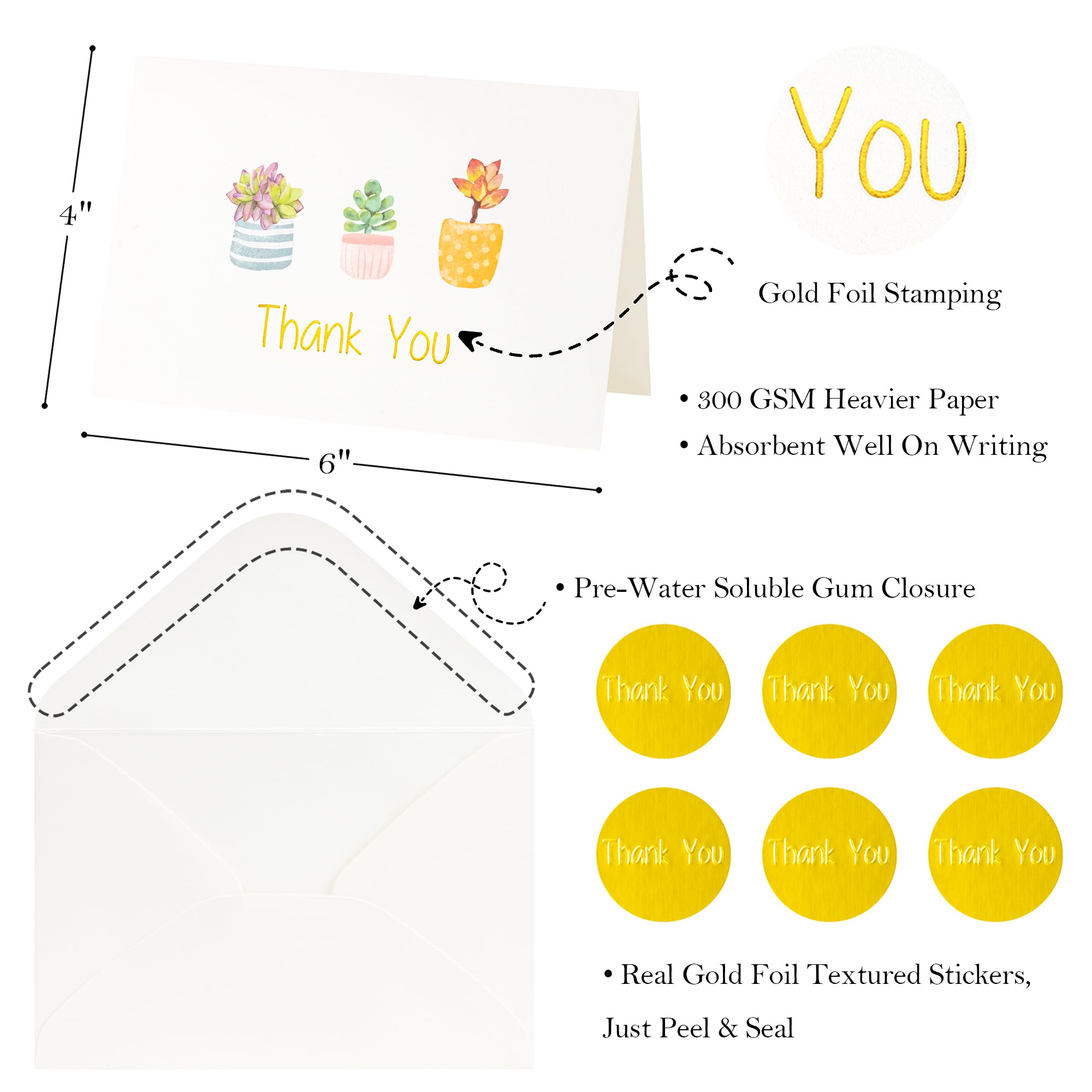 Crisky Printable Succulent Thank You Cards with Envelopes (50 Pack) & Stickers Greeting Notes Bulk, greenery plants for Birthday, Baby Shower,Bridal Shower, Wedding, Graduation