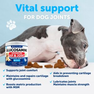 Glucosamine for Dogs - Hip and Joint Supplement for Dogs - 180 Chews - Glucosamine Chondroitin for Dogs, Turmeric, MSM - Dog Glucosamine Support - Dog Joint Pain Relief Health - Duck Flavor