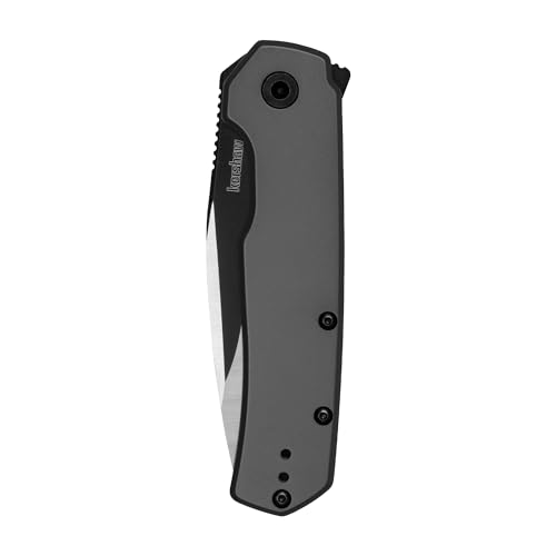 Kershaw Thermal Folding Pocket Knife, 2.95 in Gray PVD Finish Blade, Assisted Opening, Pocketclip, Every Day Carry