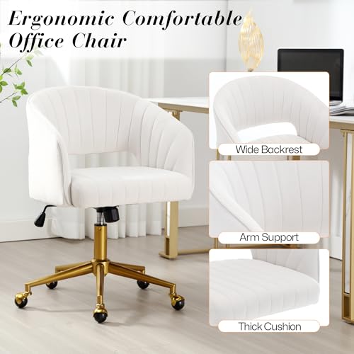 Homedraft Home Office Swivel Desk Chair, Modern Velvet Desk Chair, Height Adjustable Armchair with Gold Base, Ergonomic Office Chair for Living Room Vanity Study Computer Room, Cream