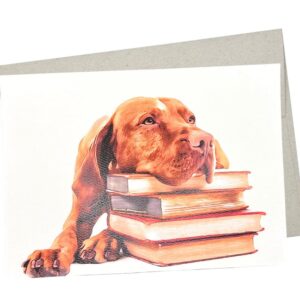 vizsla card (1 premium quality folded card, blank inside) for birthday, thank you, get well and sympathy wishes - 420