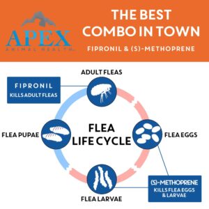 Apex Plus Flea and Tick Prevention for Dogs | Small (5-22 lbs) | 3-Month Supply | Dog Flea and Tick Treatment | 24-Hour Activation, Waterproof, 30-Day Protection