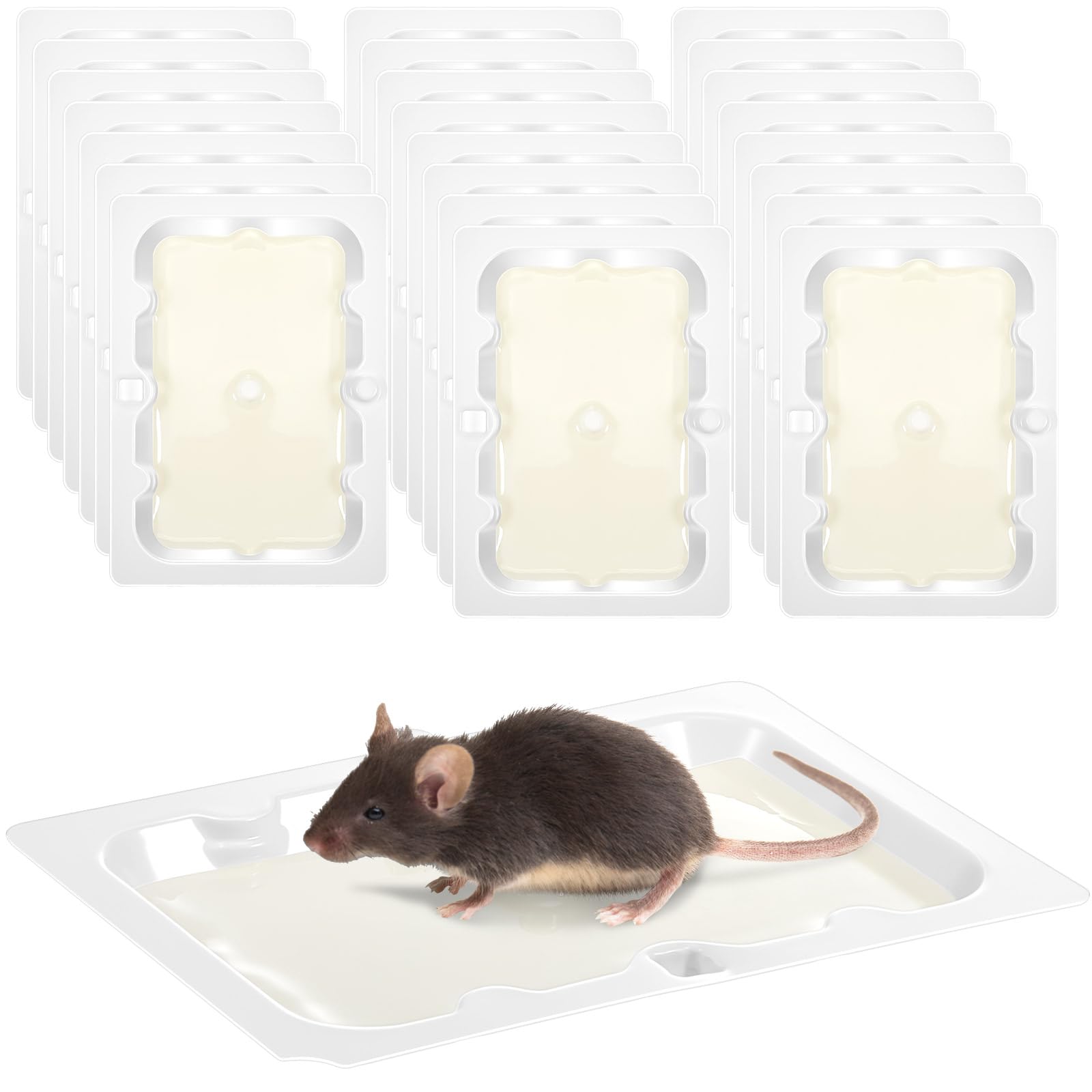 Qualirey 24 Pack Glue Traps Sticky Mouse Trap Rat Traps Indoor Rodent Killer Trays Rat Mouse Exterminator Plastic Sticky Non Toxic Mice Trap for Home Indoor Outdoor Mice Rats Rodent