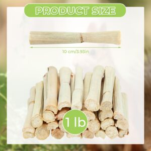 WYOMER 1lb Sweet Bamboo Chew Toy Natural Sweet Bamboo Animals Molar Chew Sticks Toys Pet Snacks Bamboo Sticks Treats