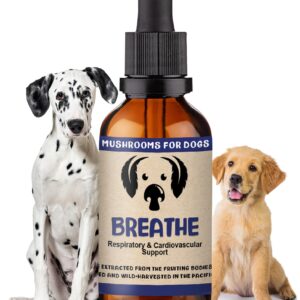 MycoDog Breathe Mushroom Extract & Adaptogen Tincture for Canines - Mushroom & Ashwagandha Supplements for Dogs with Breathing Challenges - Reishi Mushroom, Chaga, Cordyceps Mushroom & Artist Conk