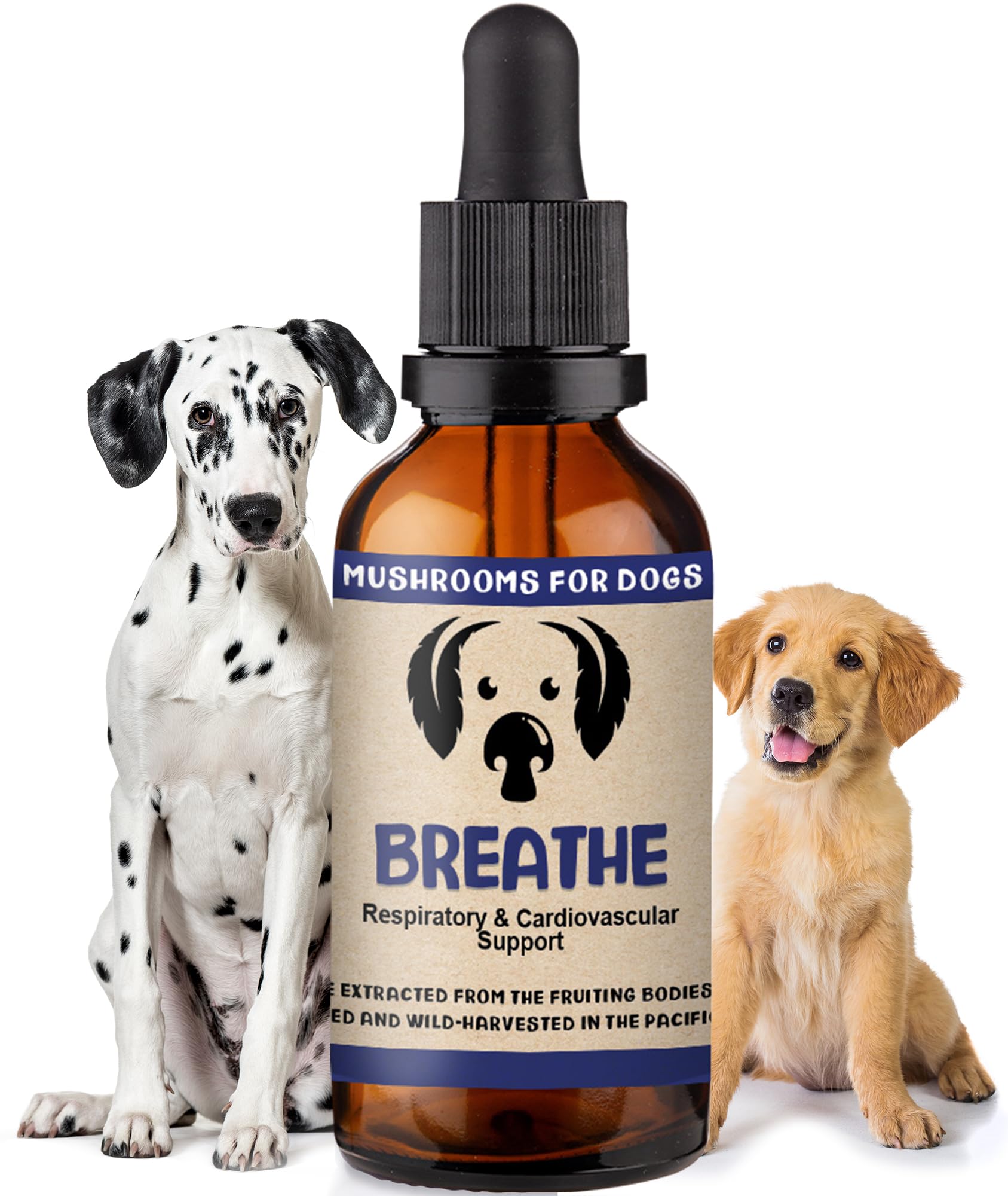 MycoDog Breathe Mushroom Extract & Adaptogen Tincture for Canines - Mushroom & Ashwagandha Supplements for Dogs with Breathing Challenges - Reishi Mushroom, Chaga, Cordyceps Mushroom & Artist Conk