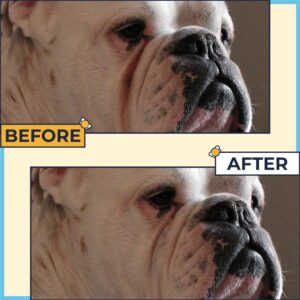 Wrinkle Paste For Bulldogs 2oz + Paw Cleaner For Dogs 5oz (Made In USA)- No Rash & Dirt On French Bulldog, English Bulldog, Pug- Waterless Dog Paw Washer & Bulldog Wrinkle Cream For Dog