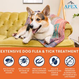 Apex Plus Flea and Tick Prevention for Dogs | Small (5-22 lbs) | 3-Month Supply | Dog Flea and Tick Treatment | 24-Hour Activation, Waterproof, 30-Day Protection