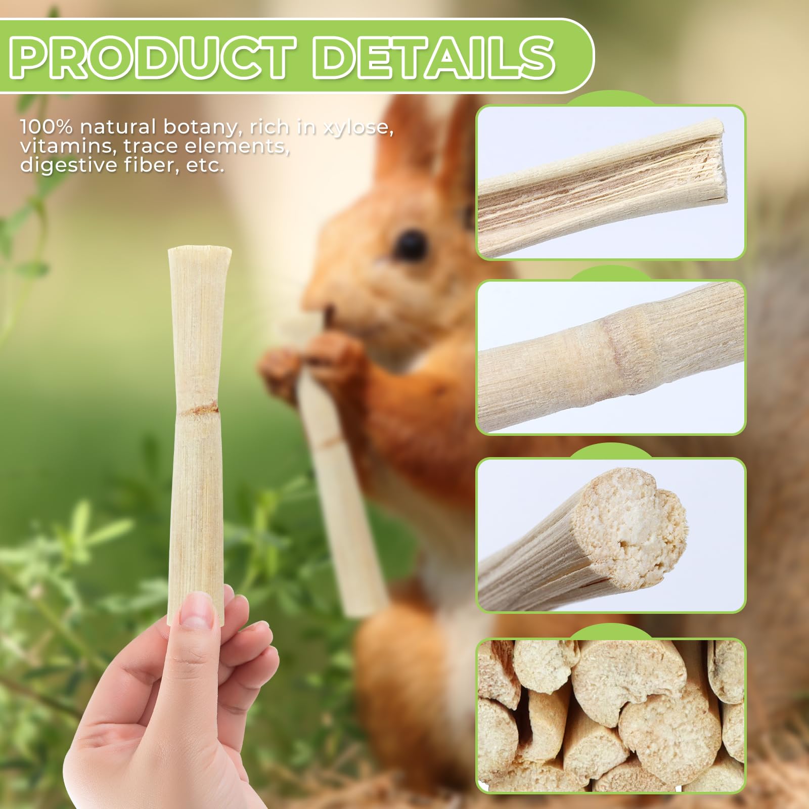 WYOMER 1lb Sweet Bamboo Chew Toy Natural Sweet Bamboo Animals Molar Chew Sticks Toys Pet Snacks Bamboo Sticks Treats