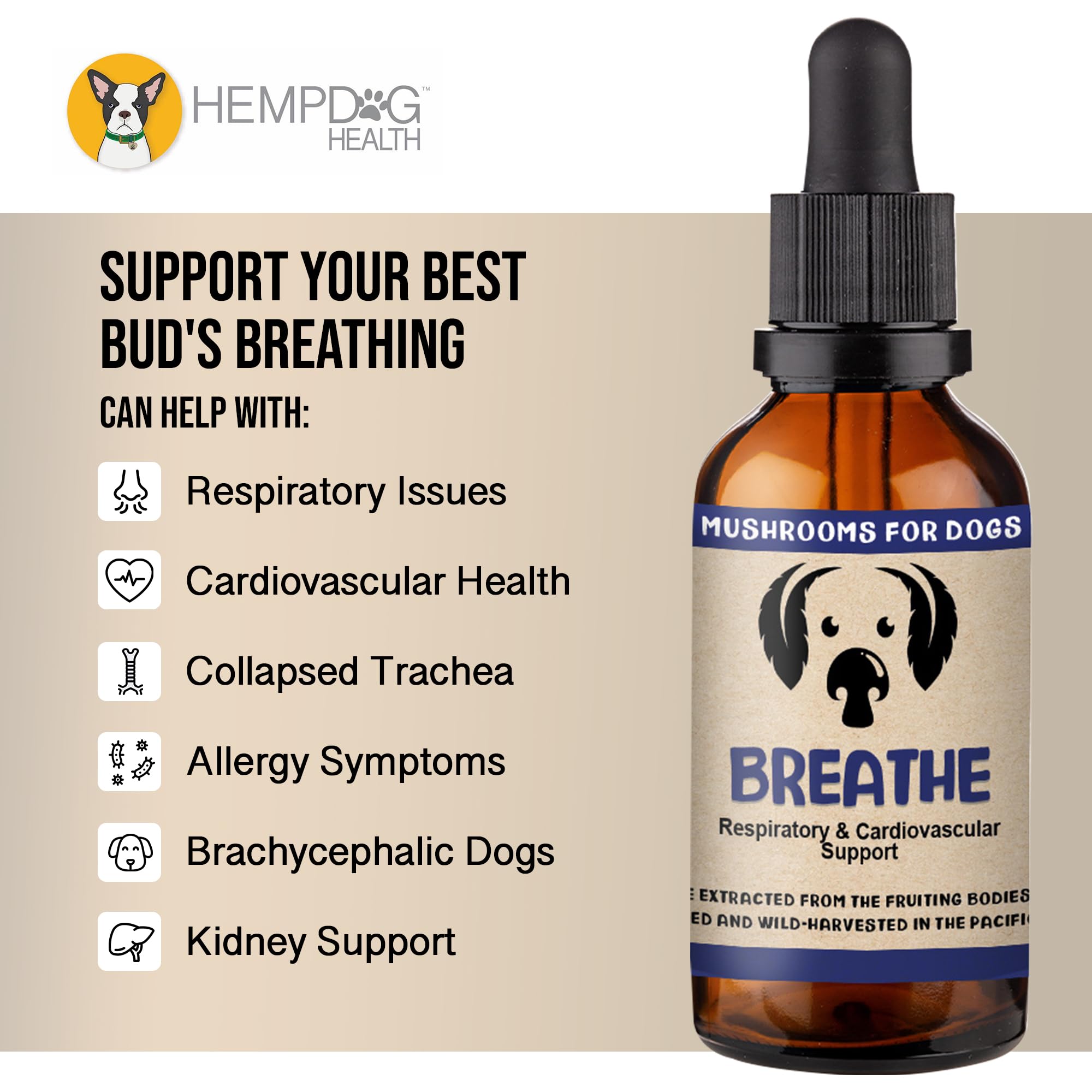 MycoDog Breathe Mushroom Extract & Adaptogen Tincture for Canines - Mushroom & Ashwagandha Supplements for Dogs with Breathing Challenges - Reishi Mushroom, Chaga, Cordyceps Mushroom & Artist Conk