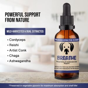 MycoDog Breathe Mushroom Extract & Adaptogen Tincture for Canines - Mushroom & Ashwagandha Supplements for Dogs with Breathing Challenges - Reishi Mushroom, Chaga, Cordyceps Mushroom & Artist Conk