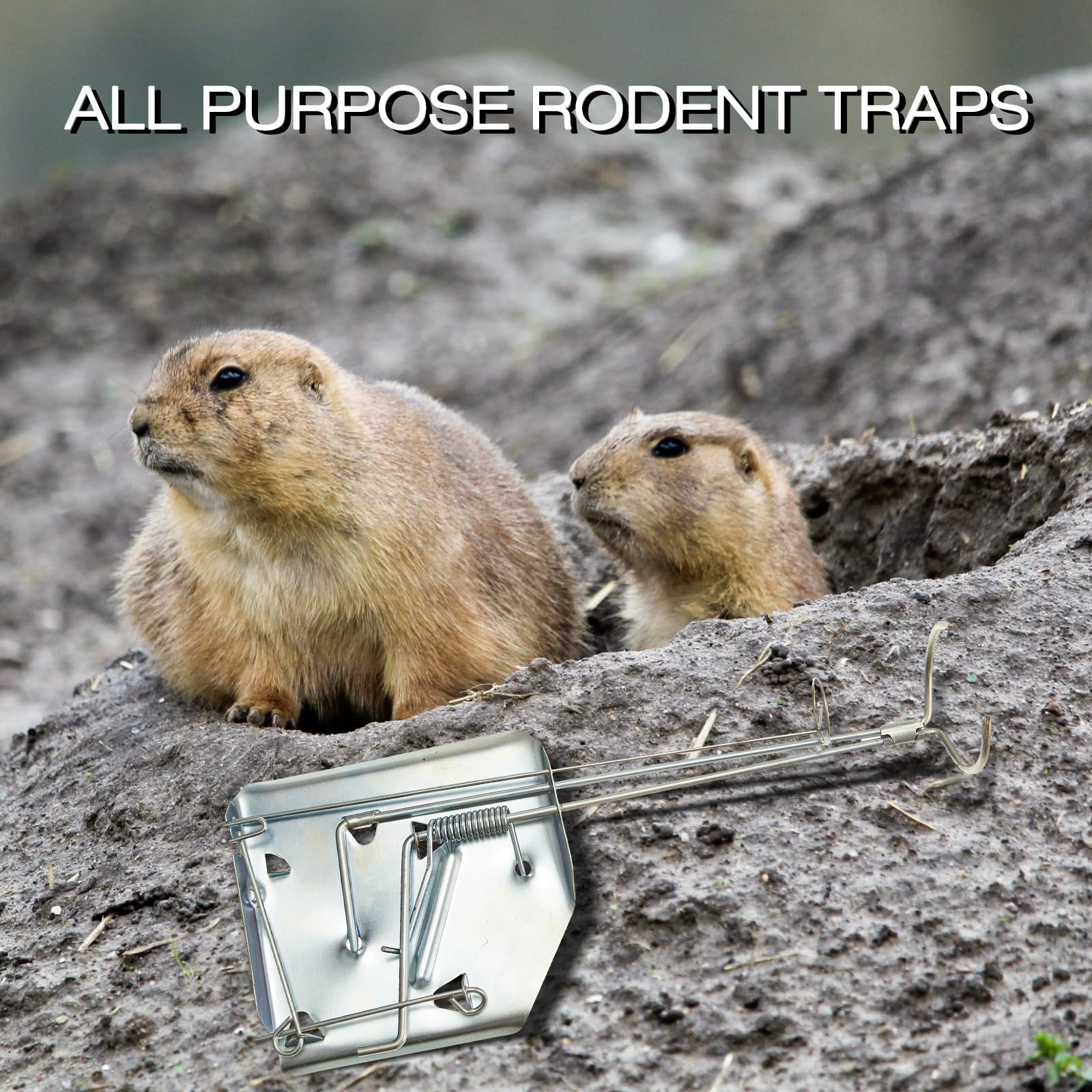 Qualirey 4 Pack Mole Trap Gopher Trap Ground Galvanized and Oil Hardened Steel Animal Trap Reusable Gopher Trap Vole Traps for Outdoor Lawn Garden Yard Farm (Silver)