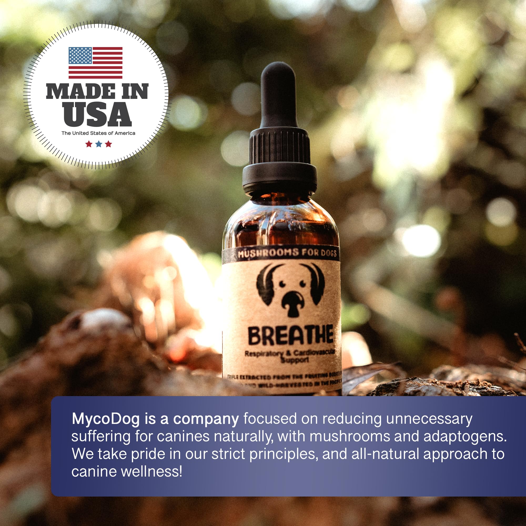 MycoDog Breathe Mushroom Extract & Adaptogen Tincture for Canines - Mushroom & Ashwagandha Supplements for Dogs with Breathing Challenges - Reishi Mushroom, Chaga, Cordyceps Mushroom & Artist Conk