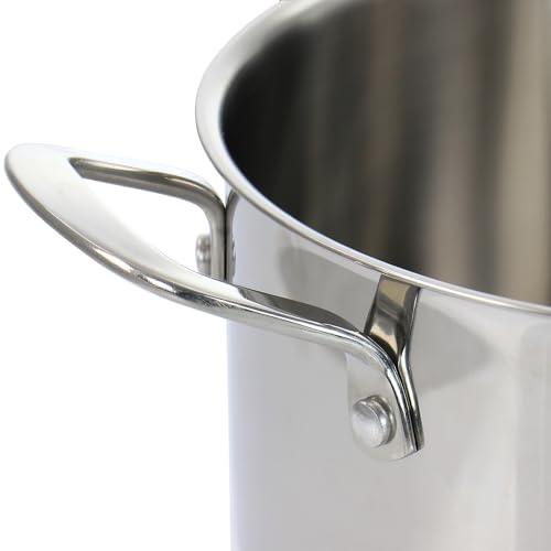 Martha Stewart Stainless Steel 5 Qt Dutch, Silver (128950.02)