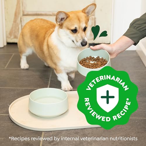 Greenies Smart Essentials Small Breed Adult High Protein Dry Dog Food Real Chicken & Rice Recipe, 5.5 lb. Bag