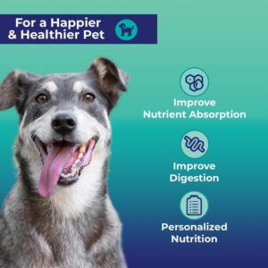 Innovative Pet Lab Digestion & Detox at-Home Test Kit - Expert Panel Insights for Dog's Microbiome and Digestive Health - Essential Pet Supply for Overall Wellness