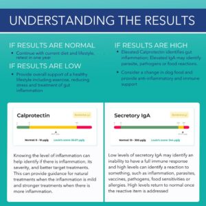 Innovative Pet Lab at-Home Test Kit- Gut Health Evaluation and Expert Panel Insights- Ideal for Dogs and Cats- Pet Essential for Digestive Health