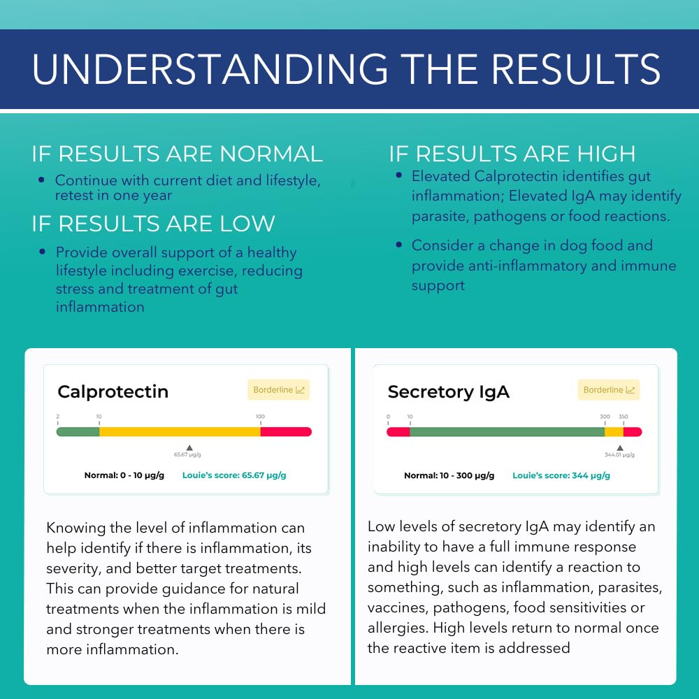 Innovative Pet Lab at-Home Test Kit- Gut Health Evaluation and Expert Panel Insights- Ideal for Dogs and Cats- Pet Essential for Digestive Health