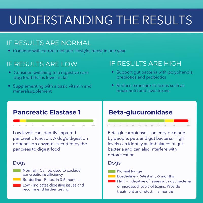 Innovative Pet Lab Digestion & Detox at-Home Test Kit - Expert Panel Insights for Dog's Microbiome and Digestive Health - Essential Pet Supply for Overall Wellness