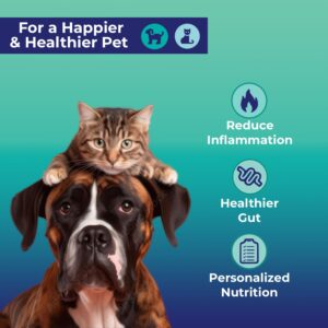 Innovative Pet Lab at-Home Test Kit- Gut Health Evaluation and Expert Panel Insights- Ideal for Dogs and Cats- Pet Essential for Digestive Health