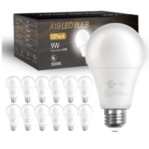 daybetter 12 pack a19 led light bulbs, 60 watt equivalent led bulbs, long lifespan high brightness 800lm daylight white 5000k, e26 standard base light bulbs for home bedroom office, non-dimmable