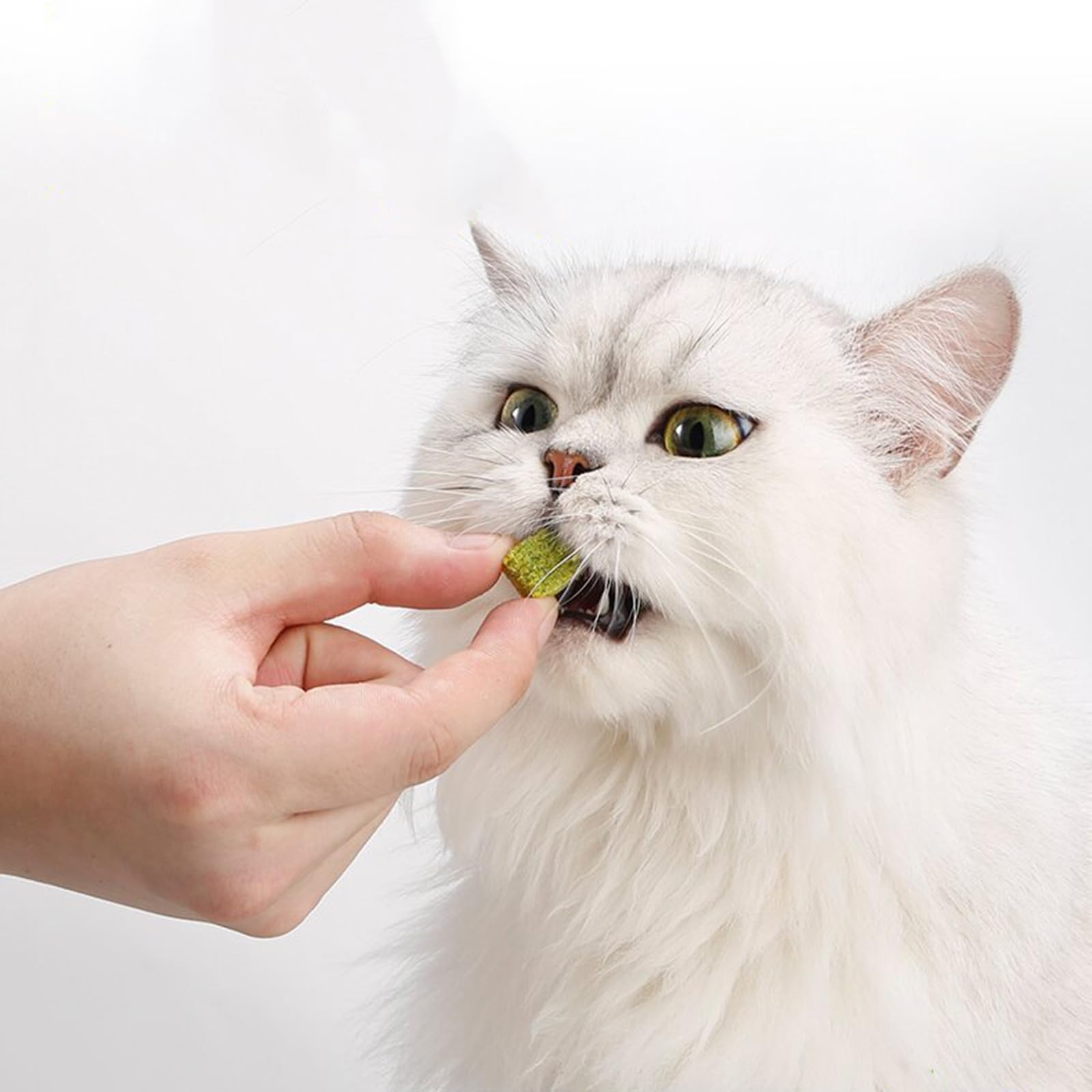 XISAOK Natural Cat Grass Wheatgrass Chewing Snacks Keep Your Cat Active and Happy Promote Dental Care Wheatgrass for Kitten