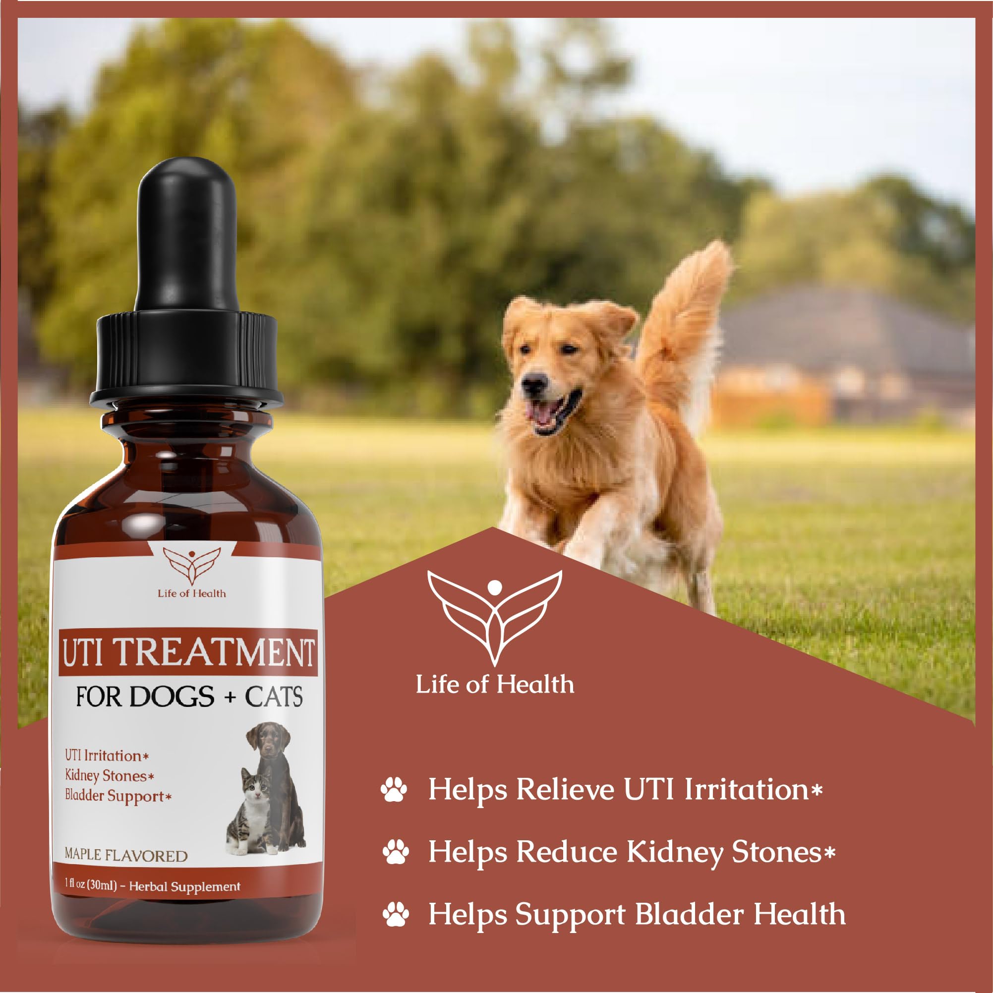 Cat & Dog Urinary Tract Infection Treatment - Helps with Bladder, Kidney, Incontinence, & More - Cat UTI - Dog UTI Treatment - Feline UTI Treatment - Cat UTI Remedy - Dog UTI - 1 fl oz