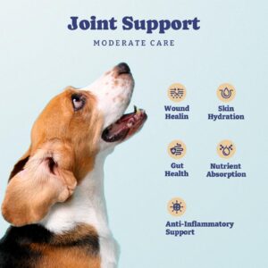 YoYoBay Joint Supplement for Dogs, Hip and Joint Supplement Dogs, Dog Joint Supplement, Glucosamine for Dogs, MSM, Omega-3, 6, 60 Soft Chews