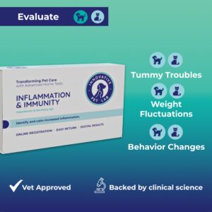 Innovative Pet Lab at-Home Test Kit- Gut Health Evaluation and Expert Panel Insights- Ideal for Dogs and Cats- Pet Essential for Digestive Health