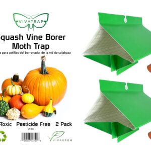 VivaTrap VT-100 Squash Vine Borer Moth Trap & Lure (2 Pack, 8 Week)