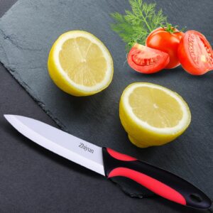 Zhiyun Paring knife 2 pcs Ceramic Knives 4 Inch Fruit Knife, Zirconia Blade with Ergonomic Comfort Handle,use for Fruit Vegetable Bread and Meat,2 knives with covers(Green and Black)