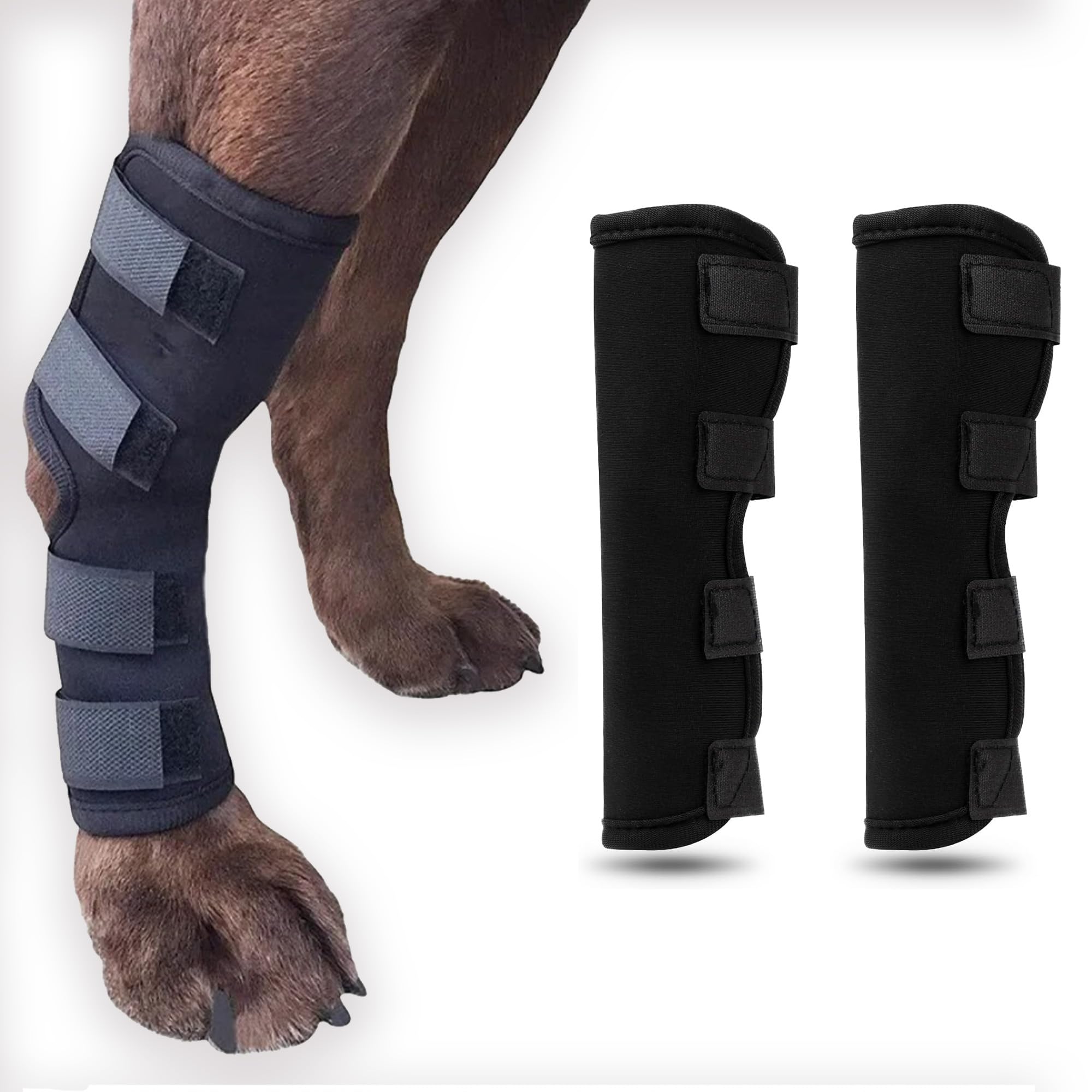 PETSPLICITY Dog Rear Leg Hock Brace - Canine Joint Support for Injury, Arthritis, ACL, Pain Relief. Compression Wrap Senior Dog Mobility Aid, Orthopedic Rehabilitation, Recovery Hock Brace(Large)