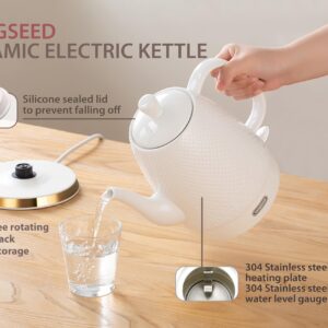 LONGSEED Ceramic Electric Kettle with Fine Mesh Infuser, 1.2L/1000W Boil Water Quickly and Easily with Boil-Dry Protection Auto Shut Off, Detachable Swivel Base, Glazed Relief Carving