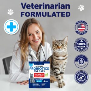 Probiotics for Cats - Cat Probiotic Support Gut Health, Itchy Skin, Allergies, Immunity, Yeast Balance - Cat Probiotics for Indoor Cats Digestive Enzymes with Prebiotics - Cat Diarrhea Relief