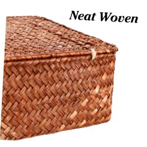 Luxshiny 3pcs Woven Storage Baskets with Lids Shelves Basket Organizer Pantry Organizer Baskets Storage Container Basket for Home(Brown)