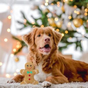 Stuffed Christmas Dog Toys, Cute Christmas Themed Squeaky Dog Toy, Puppy Gingerbread Man Chew Toys, Puppy Chew Santa Toys, Puppy Chew Toys Soft Pet Toys Tough Dog Chew Toys for Aggressive Chewers