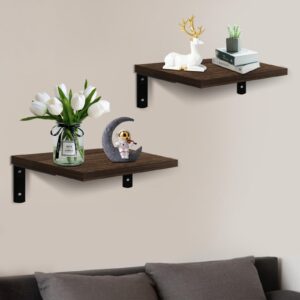 Fureylenx Floating Shelves, 12" Deep, Large Capacity Wood Wall Mounted Rustic Farmhouse Shelves for Home Decor(Living Room Kitchen Bathroom Bedroom),Storage and Display Shelf 2 Set (Dark Brown)